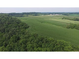 Property photo 16 - LAND AUCTION - 524+/- ACRES OFFERED IN 16 TRACTS IN MEIGS COUNTY, OHIO